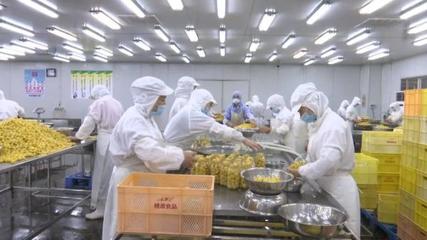 黃山桃源罐頭食品產(chǎn)銷兩旺 產(chǎn)業(yè)發(fā)展勢(shì)頭強(qiáng)勁